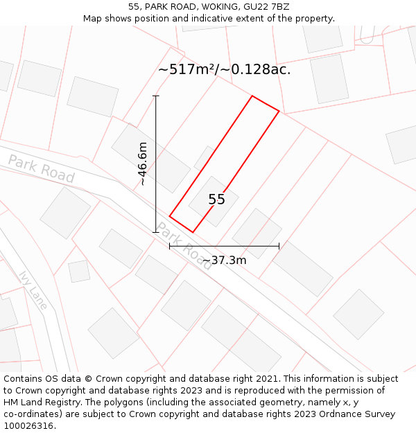 55, PARK ROAD, WOKING, GU22 7BZ: Plot and title map