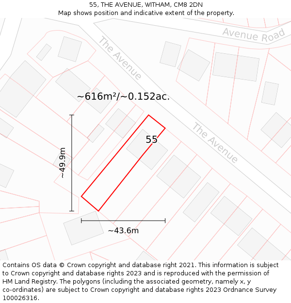 55, THE AVENUE, WITHAM, CM8 2DN: Plot and title map