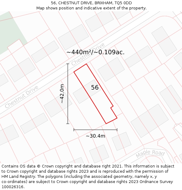56, CHESTNUT DRIVE, BRIXHAM, TQ5 0DD: Plot and title map