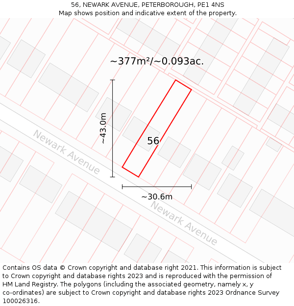 56, NEWARK AVENUE, PETERBOROUGH, PE1 4NS: Plot and title map
