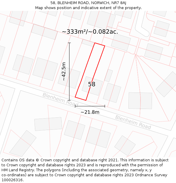 58, BLENHEIM ROAD, NORWICH, NR7 8AJ: Plot and title map