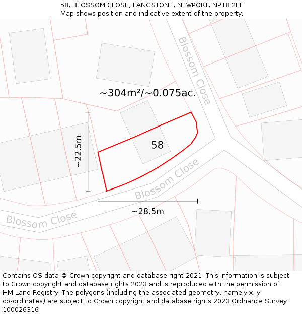 58, BLOSSOM CLOSE, LANGSTONE, NEWPORT, NP18 2LT: Plot and title map