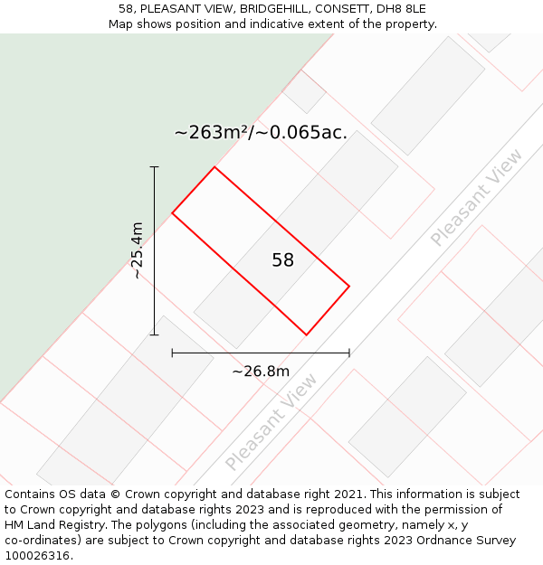 58, PLEASANT VIEW, BRIDGEHILL, CONSETT, DH8 8LE: Plot and title map