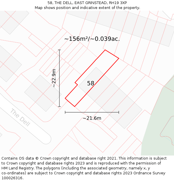 58, THE DELL, EAST GRINSTEAD, RH19 3XP: Plot and title map