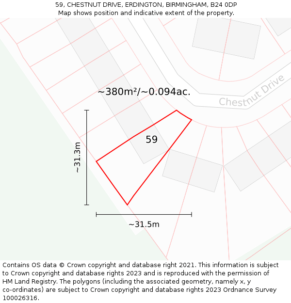 59, CHESTNUT DRIVE, ERDINGTON, BIRMINGHAM, B24 0DP: Plot and title map
