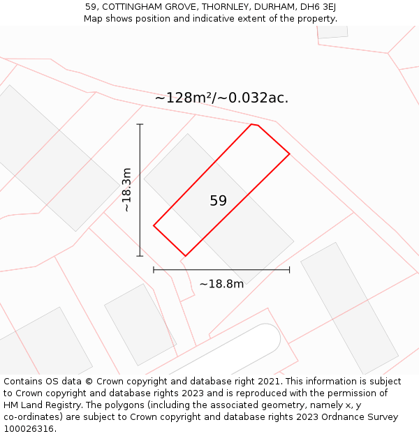 59, COTTINGHAM GROVE, THORNLEY, DURHAM, DH6 3EJ: Plot and title map