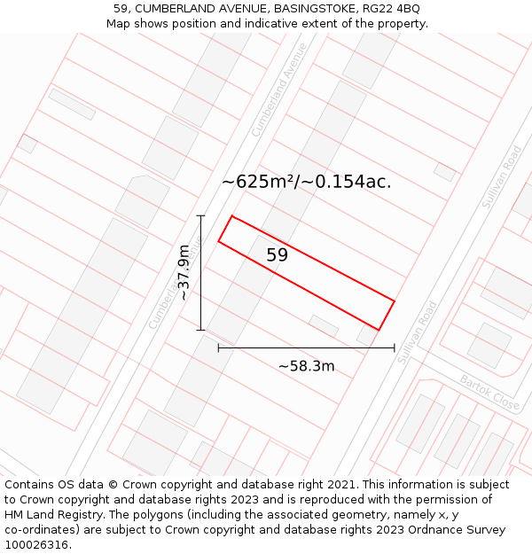59, CUMBERLAND AVENUE, BASINGSTOKE, RG22 4BQ: Plot and title map