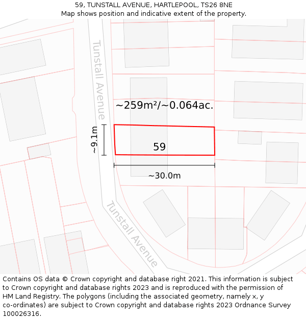 59, TUNSTALL AVENUE, HARTLEPOOL, TS26 8NE: Plot and title map