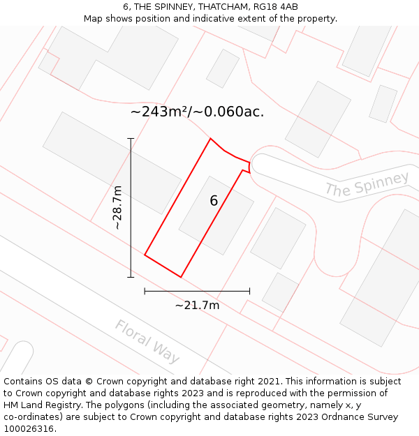 6, THE SPINNEY, THATCHAM, RG18 4AB: Plot and title map
