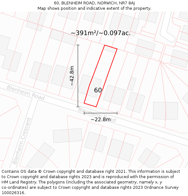 60, BLENHEIM ROAD, NORWICH, NR7 8AJ: Plot and title map
