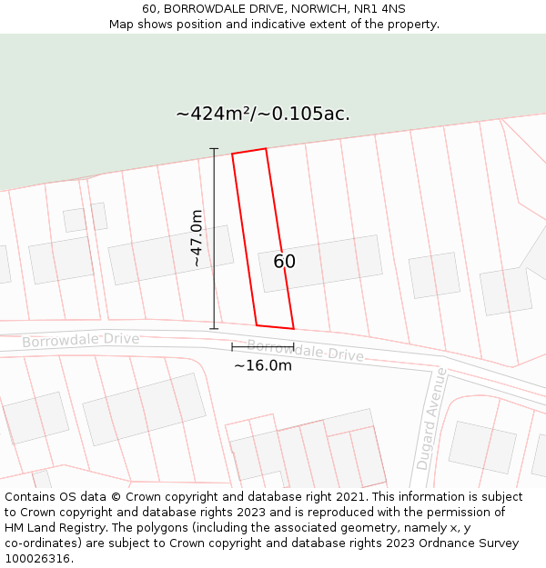 60, BORROWDALE DRIVE, NORWICH, NR1 4NS: Plot and title map