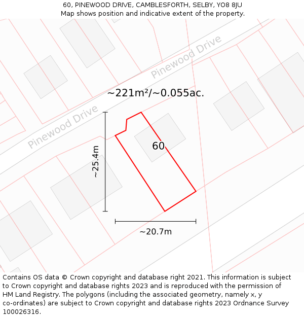 60, PINEWOOD DRIVE, CAMBLESFORTH, SELBY, YO8 8JU: Plot and title map