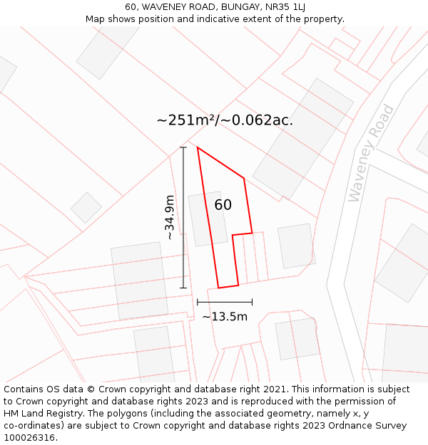 60, WAVENEY ROAD, BUNGAY, NR35 1LJ: Plot and title map