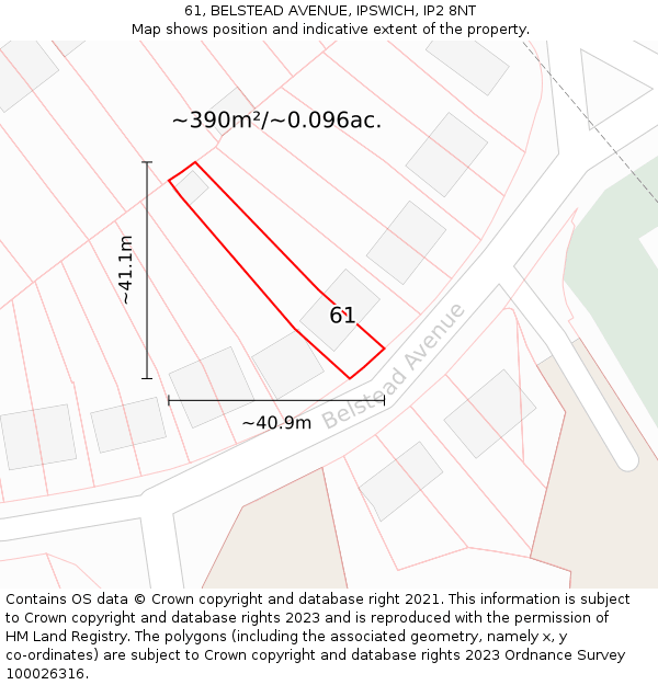 61, BELSTEAD AVENUE, IPSWICH, IP2 8NT: Plot and title map