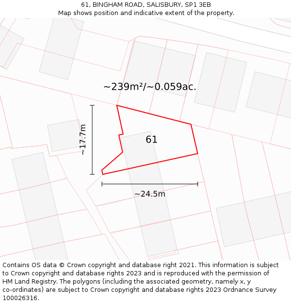 61, BINGHAM ROAD, SALISBURY, SP1 3EB: Plot and title map