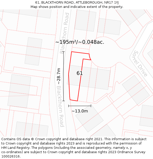 61, BLACKTHORN ROAD, ATTLEBOROUGH, NR17 1YJ: Plot and title map