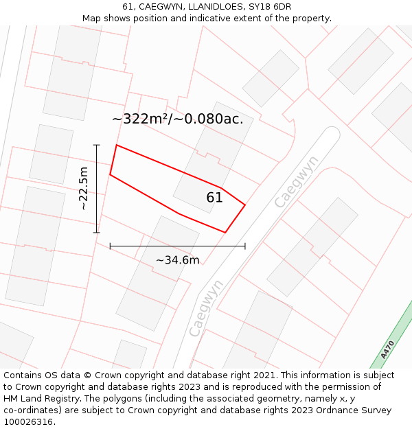 61, CAEGWYN, LLANIDLOES, SY18 6DR: Plot and title map