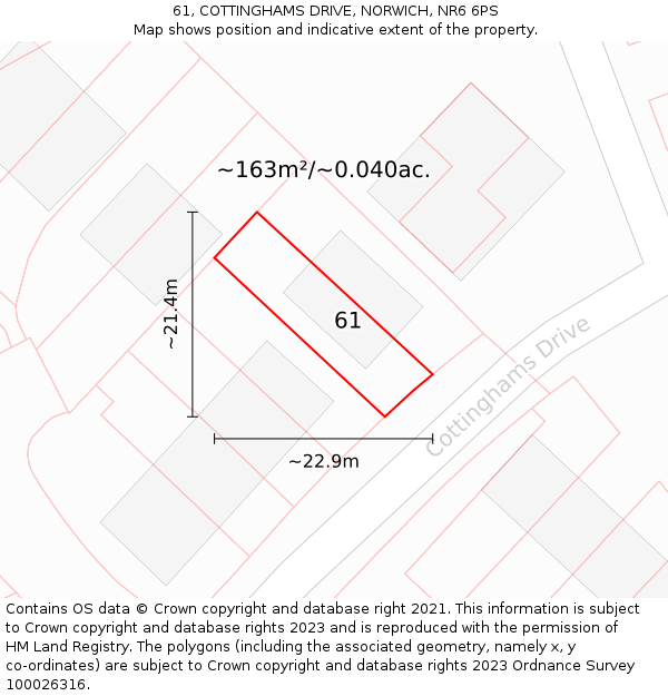 61, COTTINGHAMS DRIVE, NORWICH, NR6 6PS: Plot and title map