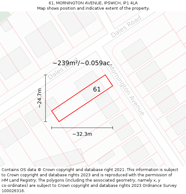 61, MORNINGTON AVENUE, IPSWICH, IP1 4LA: Plot and title map