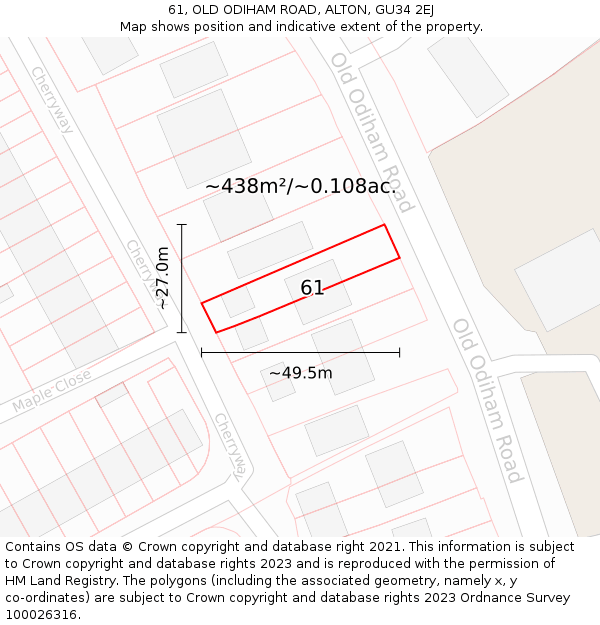 61, OLD ODIHAM ROAD, ALTON, GU34 2EJ: Plot and title map