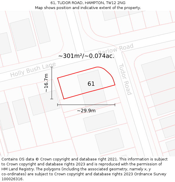 61, TUDOR ROAD, HAMPTON, TW12 2NG: Plot and title map