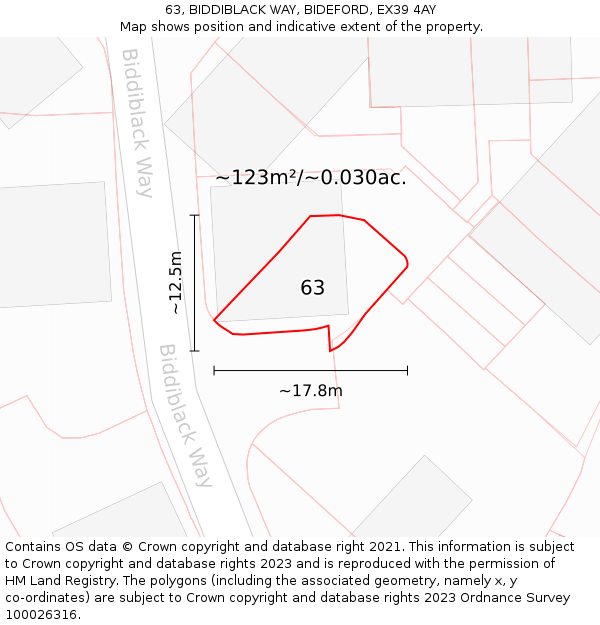 63, BIDDIBLACK WAY, BIDEFORD, EX39 4AY: Plot and title map