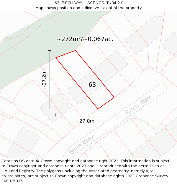 63, BIRCH WAY, HASTINGS, TN34 2JY: Plot and title map