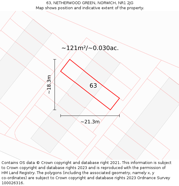 63, NETHERWOOD GREEN, NORWICH, NR1 2JG: Plot and title map