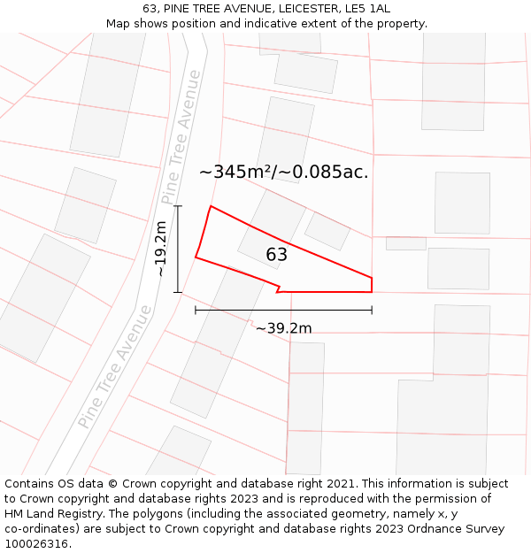 63, PINE TREE AVENUE, LEICESTER, LE5 1AL: Plot and title map