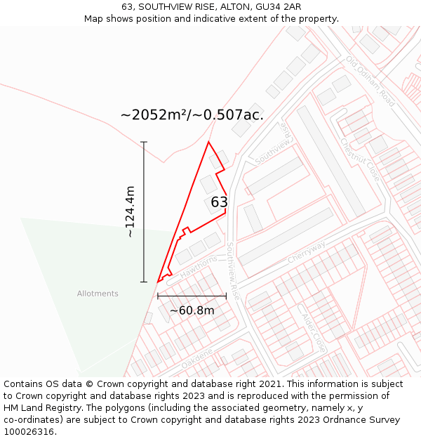 63, SOUTHVIEW RISE, ALTON, GU34 2AR: Plot and title map