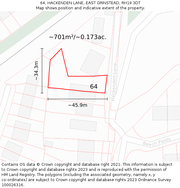 64, HACKENDEN LANE, EAST GRINSTEAD, RH19 3DT: Plot and title map