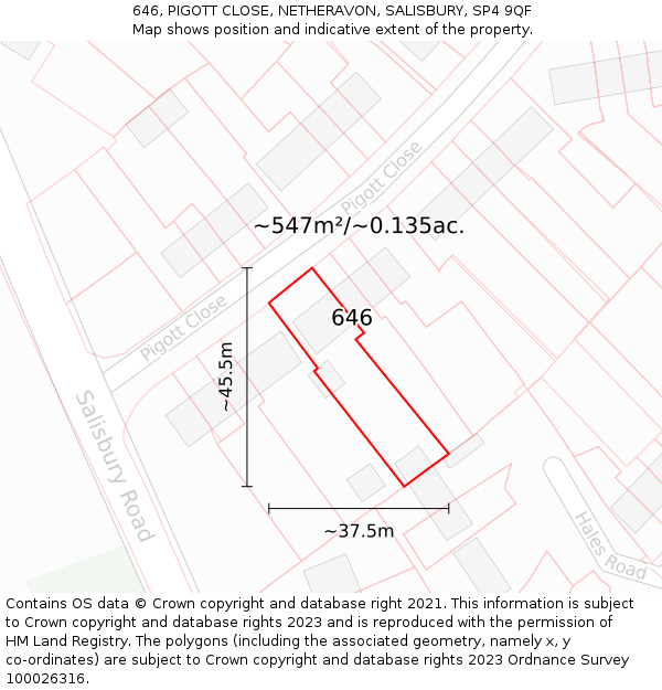 646, PIGOTT CLOSE, NETHERAVON, SALISBURY, SP4 9QF: Plot and title map