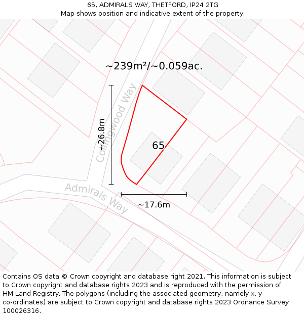 65, ADMIRALS WAY, THETFORD, IP24 2TG: Plot and title map