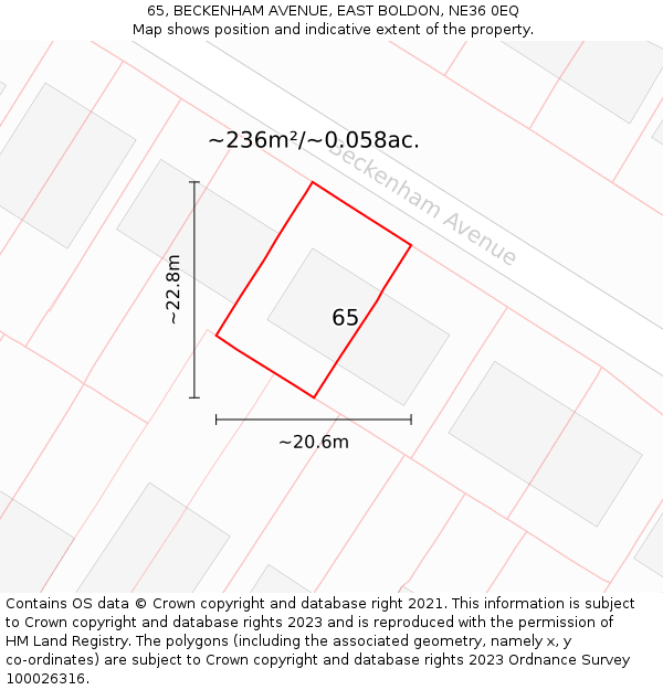 65, BECKENHAM AVENUE, EAST BOLDON, NE36 0EQ: Plot and title map