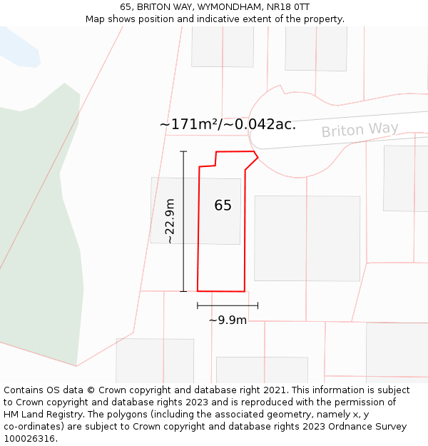65, BRITON WAY, WYMONDHAM, NR18 0TT: Plot and title map