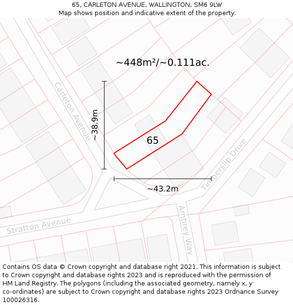 65, CARLETON AVENUE, WALLINGTON, SM6 9LW: Plot and title map
