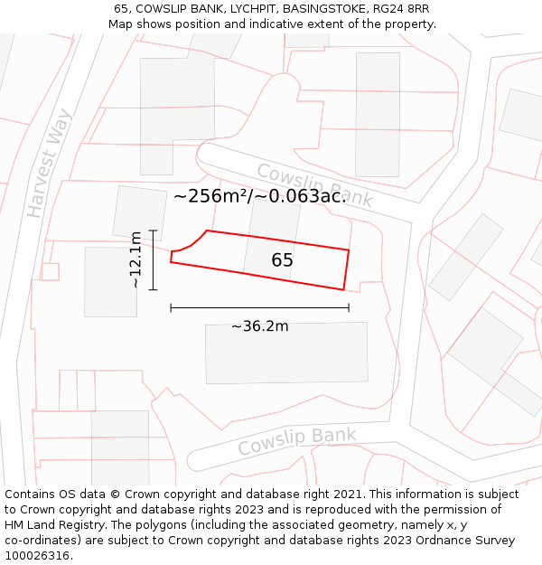 65, COWSLIP BANK, LYCHPIT, BASINGSTOKE, RG24 8RR: Plot and title map