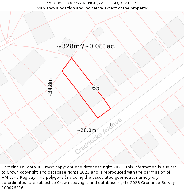 65, CRADDOCKS AVENUE, ASHTEAD, KT21 1PE: Plot and title map