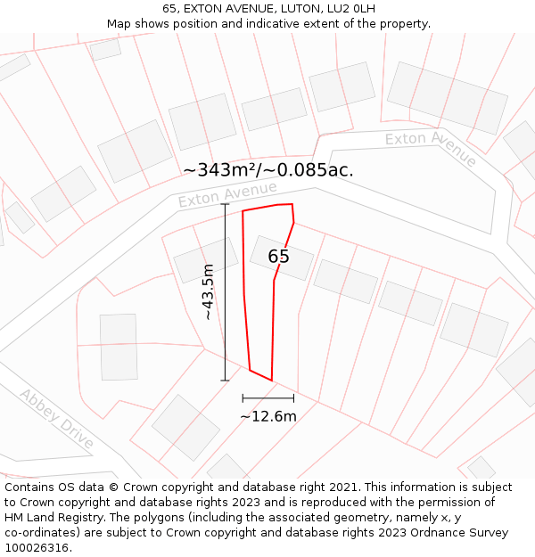 65, EXTON AVENUE, LUTON, LU2 0LH: Plot and title map