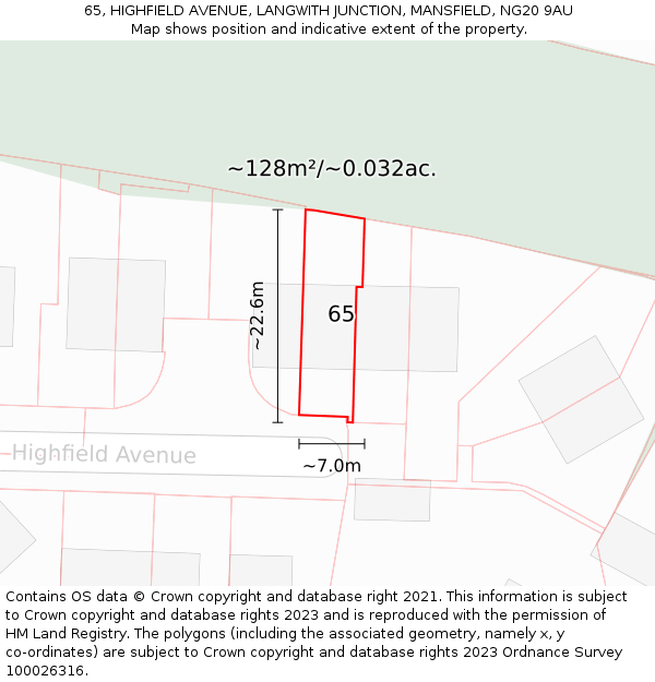 65, HIGHFIELD AVENUE, LANGWITH JUNCTION, MANSFIELD, NG20 9AU: Plot and title map