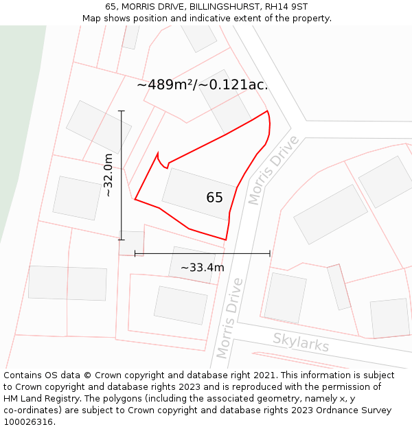 65, MORRIS DRIVE, BILLINGSHURST, RH14 9ST: Plot and title map