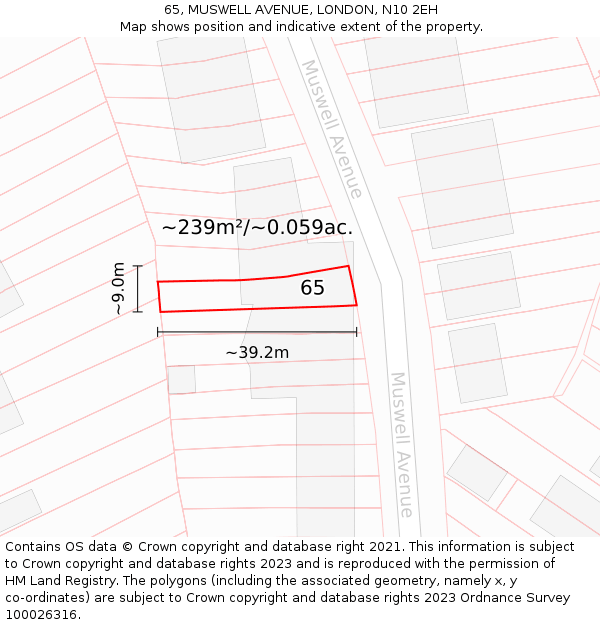 65, MUSWELL AVENUE, LONDON, N10 2EH: Plot and title map
