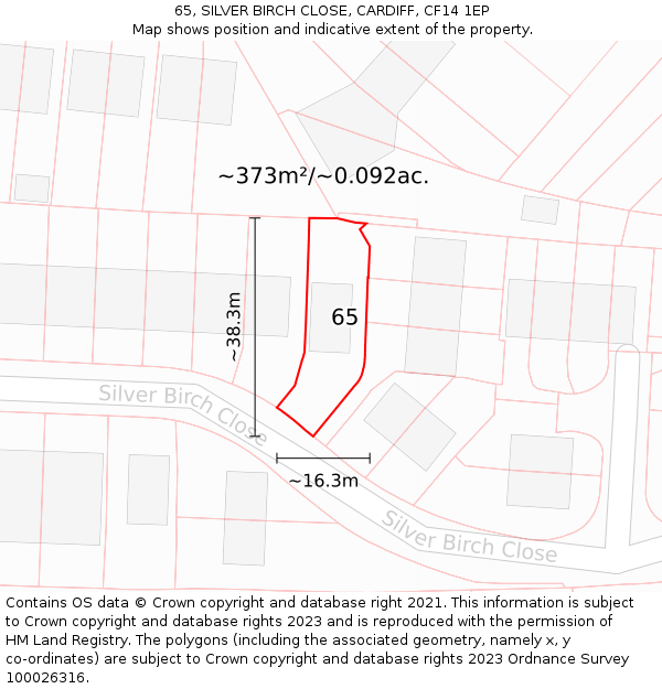 65, SILVER BIRCH CLOSE, CARDIFF, CF14 1EP: Plot and title map