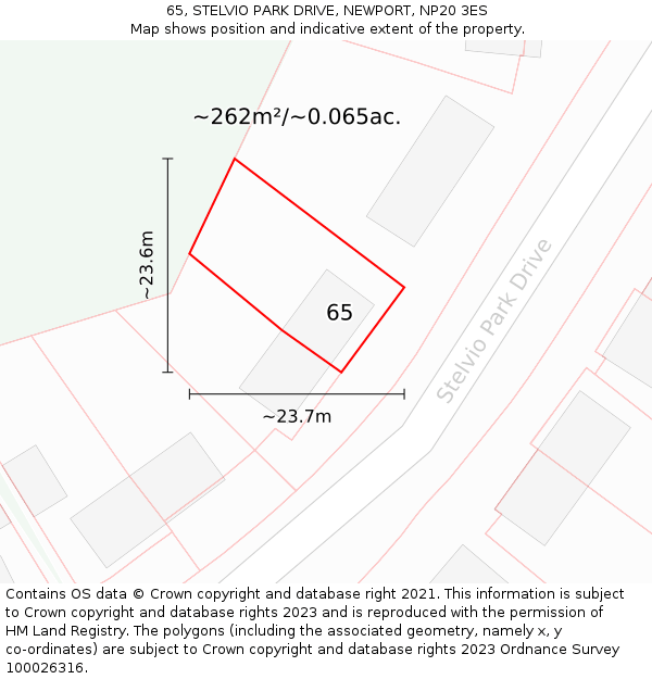 65, STELVIO PARK DRIVE, NEWPORT, NP20 3ES: Plot and title map