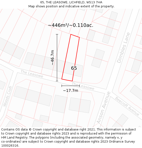 65, THE LEASOWE, LICHFIELD, WS13 7HA: Plot and title map