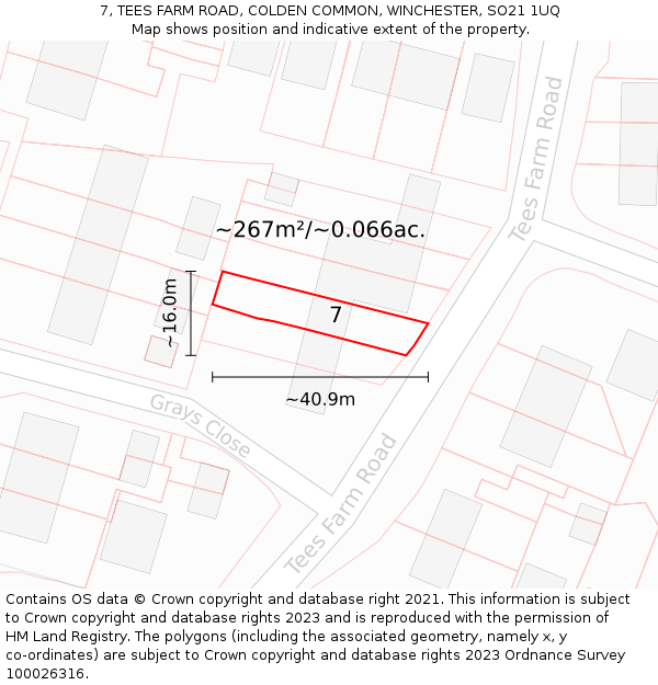 7, TEES FARM ROAD, COLDEN COMMON, WINCHESTER, SO21 1UQ: Plot and title map