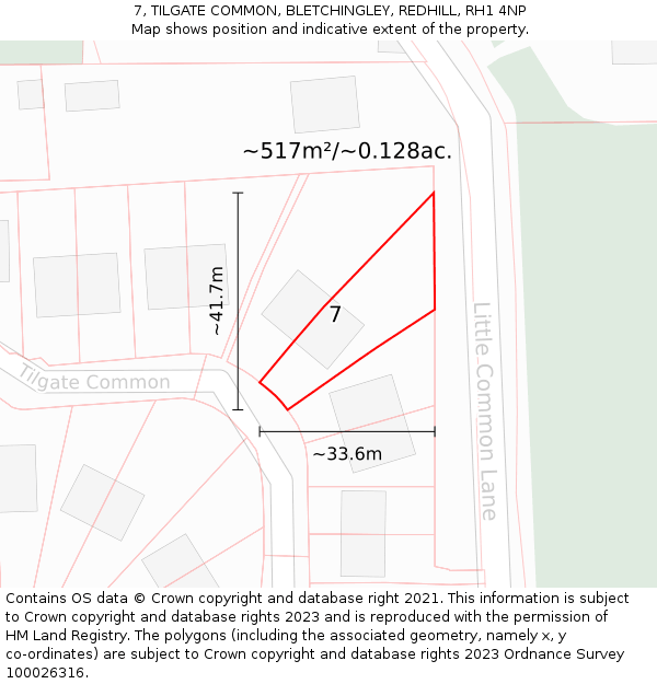 7, TILGATE COMMON, BLETCHINGLEY, REDHILL, RH1 4NP: Plot and title map
