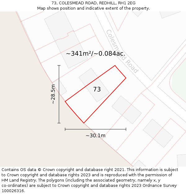 73, COLESMEAD ROAD, REDHILL, RH1 2EG: Plot and title map