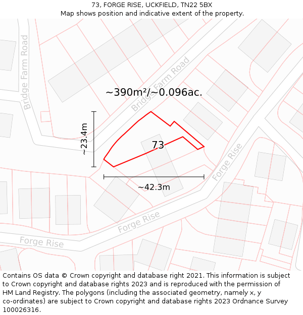 73, FORGE RISE, UCKFIELD, TN22 5BX: Plot and title map
