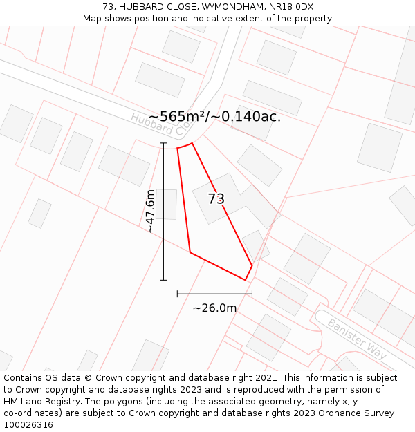 73, HUBBARD CLOSE, WYMONDHAM, NR18 0DX: Plot and title map